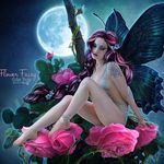 Kim Picone - @piconeki - Instagram