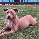 Kim Pitkin - @kim.pitkin.54 - Instagram