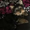 Kim Player - @kim.player8 - TikTok