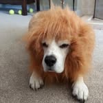Kim Plunkett - @kim_plunkett - Instagram