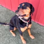 Kimberly Pomeroy Blechinger - @kimberlypomeroyblechinger - Instagram
