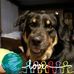 Kim Willis Pridemore - Facebook