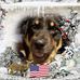 Kim Willis Pridemore - Facebook