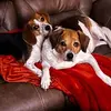 Kimberly Duty - Pulliam - @kimberly.duty.pul - TikTok