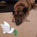 Kimberly Purvis - Facebook