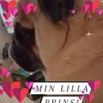 Kim Quist - @kim.quist.1 - Instagram