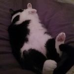 Kim Rawson - @kim.rawson.kr - Instagram