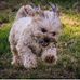 Kim Redman - Facebook