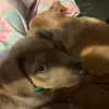 kimberlyredwine8 - @kimberlyredwine8 - TikTok