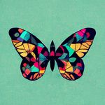 Kim Rees - @krees - Instagram
