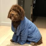 Kim Rémillard - @kimr.emillard - Instagram