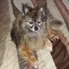 Kim R - @kimrettig - TikTok