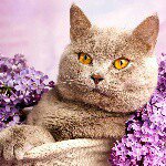 kim ricketts - @kimricketts43 - Instagram