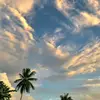 Kim Rix - @kim.rix4 - TikTok