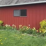 Kim Robison - Facebook