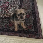 Kim Robison - @krobison1357 - Instagram