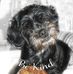 Kim Robitaille - Facebook