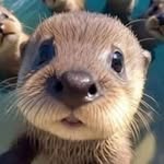 Kim Robitaille - @kim51610 - Instagram
