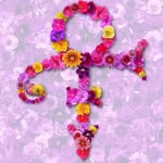 Kim Rodman - @purpleoutcry - Instagram