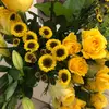 Kim Rood - @kimboyerrood - TikTok