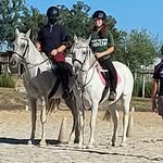 Kim Roodt - @kimroodt - Instagram