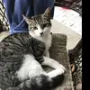 ~😜Kimberly Ramos 😜~ - @kim.animalsroof - TikTok