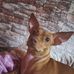 Kim Rosini - Facebook
