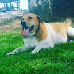 Kim Rounds - @kimrounds72 - Instagram