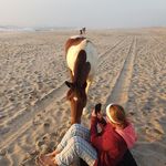 Kim Roush - @roush1167 - Instagram
