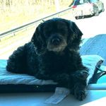 Kim Roush - @kroush5081 - Instagram