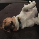 Kim Rudd - @kim.rudd.64 - Instagram