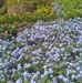 Roeley Kim - Facebook