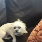 isabelbryant - @kimrunyan60 - Instagram