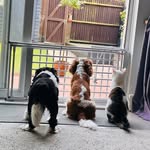 Kim Sadler - @kim_sadler40 - Instagram
