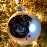 Kim Salerno - @ksalerno67 - Instagram