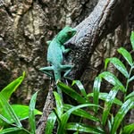 Kim Salerno Addis - @kta_reptiles - Instagram