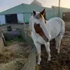 Kim - @kimsandberg145 - TikTok