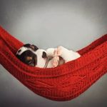 Kim Sandberg - @kim.sandberg - Instagram