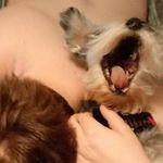 Kim Sandberg - @opiewhisker - Instagram
