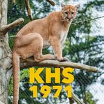 Kim Sandberg Turner - @khs_class_of_1971 - Instagram