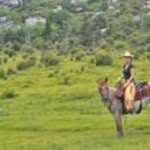 Kim Sauls - @koastalcowgirl - Instagram