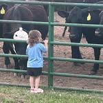Kim Scanlan - @cowcountry10 - Instagram