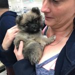 Kim Schaeffer - @kimmitome - Instagram