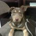Kim Schaeffer - Facebook