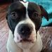 Kim Schaeffer - Facebook