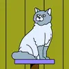 kimschaeffer67 - @kimschaeffer67 - TikTok