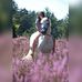 Kim Schauer - Facebook