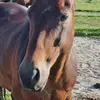kimbrieschenk0.fan - @kimbrieschenk0.fan - TikTok