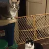 kimschenk798 - @kimschenk798 - TikTok