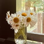 Kim Schiller - @bigmakorganics - Instagram